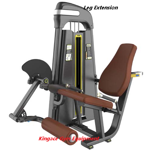 Fitness Equipment/Commercial Gym Equipment/Leg Sled-vertical Machine