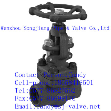 Wcb Gate Valve