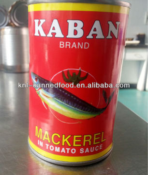 short bodied mackerel in tomato sauce 425gX24tins