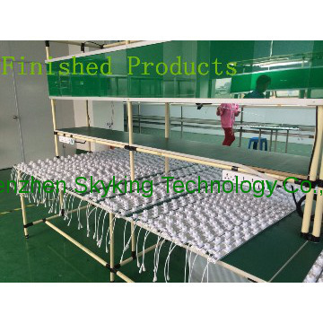 LED Sidelight Lightbox