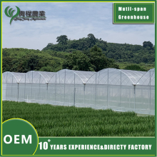 Durable Basic Multi span Greenhouse
