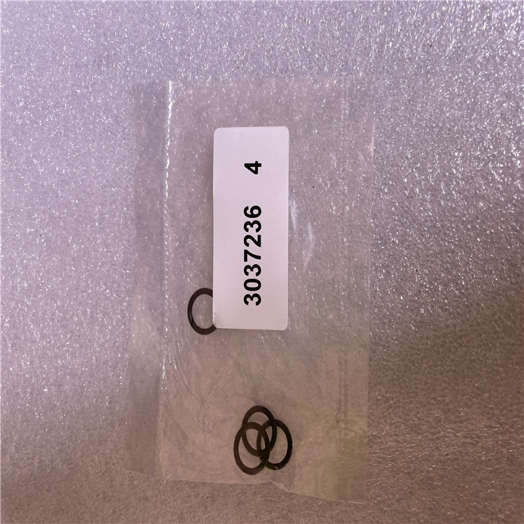 3037236 O Ring 3037236 O Ring