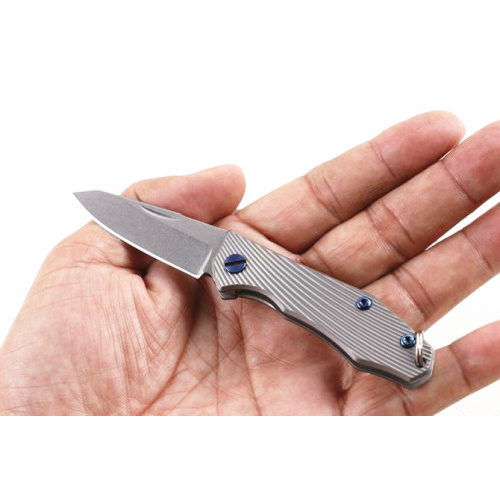 Keychain Titanium D2 Pocket Knife