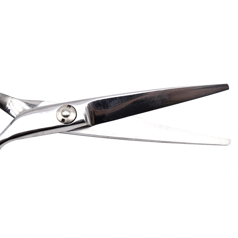 Professional Hair Cutting Salon Barber Scissors Hairdressing Tool