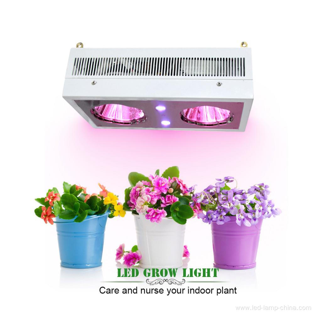 hydroponic vertical grow system 300W led grow light