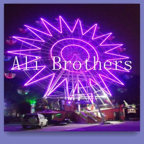 [Ali Brothers]ferris wheel supplier in China for Mexico