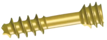Herbert Screw (cancellous)
