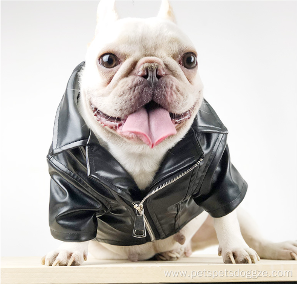 small pet french bulldog fur coat luxury fashions