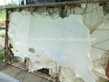 Dried Bleached bovine splits for dog chews