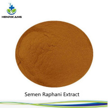 Buy online active ingredients Semen Raphani Extract powder