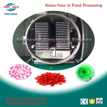 food freeze drying machine for sale