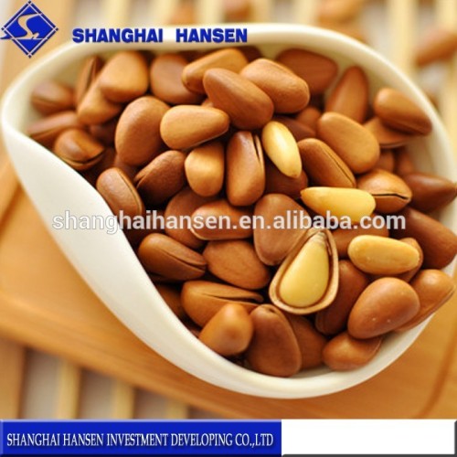 Snacks Pine nuts Import Agent service from shanghai