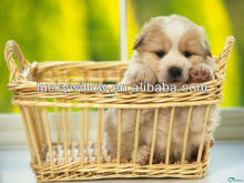 Exquisite and durable wicker pet basket
