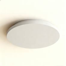 Warm atmosphere ceiling light
