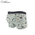 Wholesale nylon hommes boxer sexy sous-vêtements