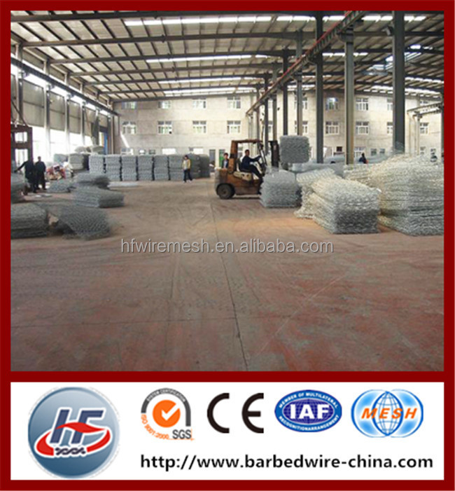 hexagon wire netting,chicken mesh,electro galvanized after weaving hexagonal wire netting