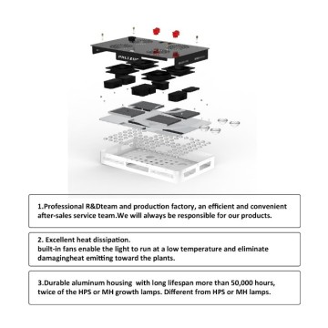 Ánh sáng cao 2000 watt Led Grow Light