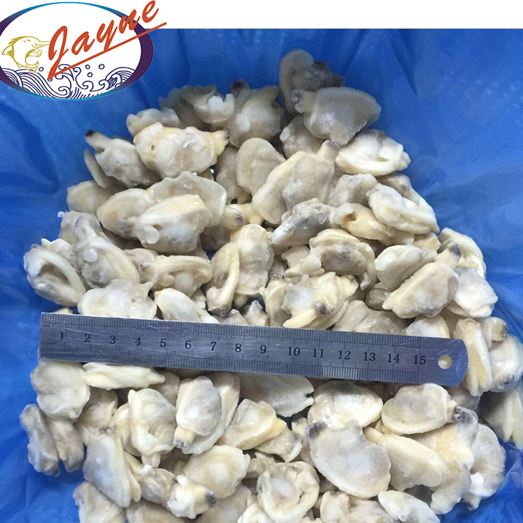 Frozen Clams Without Shell Frozen Short Neck Clam Meat, High Quality