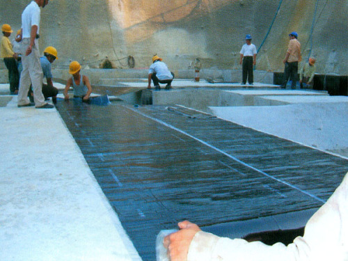 APP Bitumen Waterproof Membrane with Competitive Price