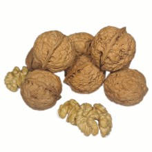 EU Organic In-shell Walnut Whole Nut