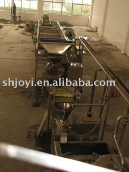 fruit and vegetable pulp processing line