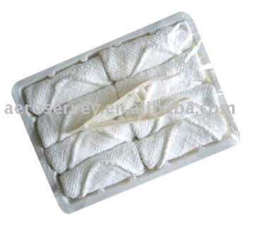 Disposable Hot Towel