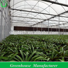 Removable Greenhouses