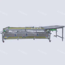 Palm Date and Jujube Sorting Machine