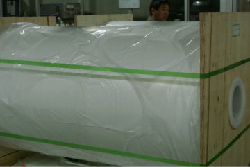 White Polyester Films