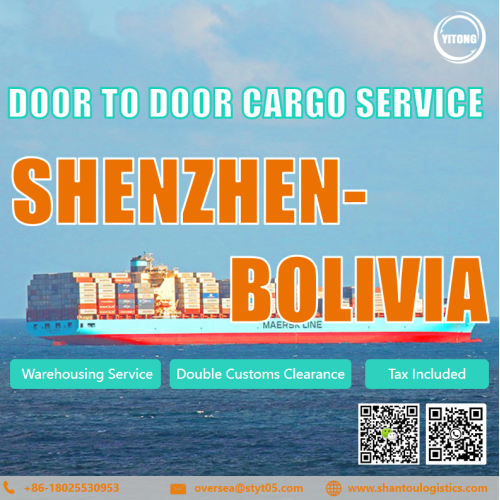 Internationale deur tot deur logistiek van Shenzhen tot Bolivia