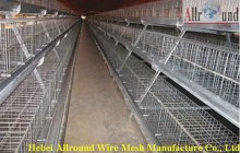 Poultry farming equipments for chickens