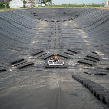 china revestimientos de plastico para piscinas con textura de geomembrana fabricante