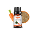 Pure organic fragrance carrot seed essential oil