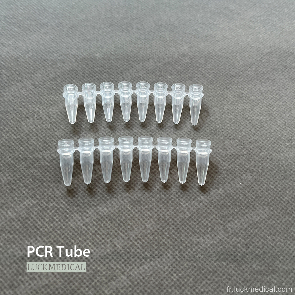 Bandes de tube de PCR 0,2 ml 0,1 ml