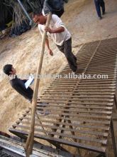 lagerstroemia indica white color