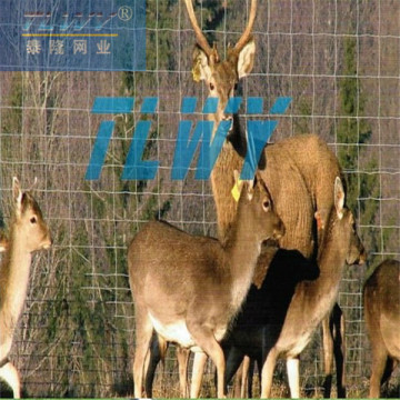 Deer fence