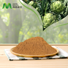 Artichoke Extract for Lowering Blood Lipids