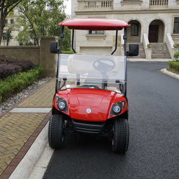 300CC Benzin-Golfwagen mit 2 Sitzen