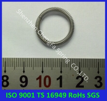 RoHS Compliant Seal Canted Coil Spring