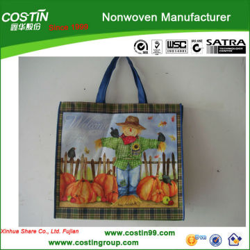 Recycle Nonwoven Pet Shopping Bag