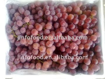 Red Globe Grape