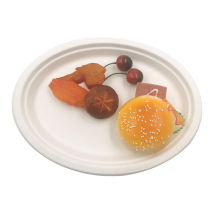 100% compostable sugarcane bagasse oval plate