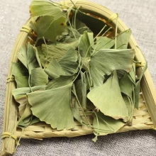 Natural Dried Ginkgo Biloba Tea: Healthy Herbal Gingko Duzhong Tea