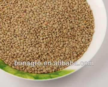 sell chinese lentils