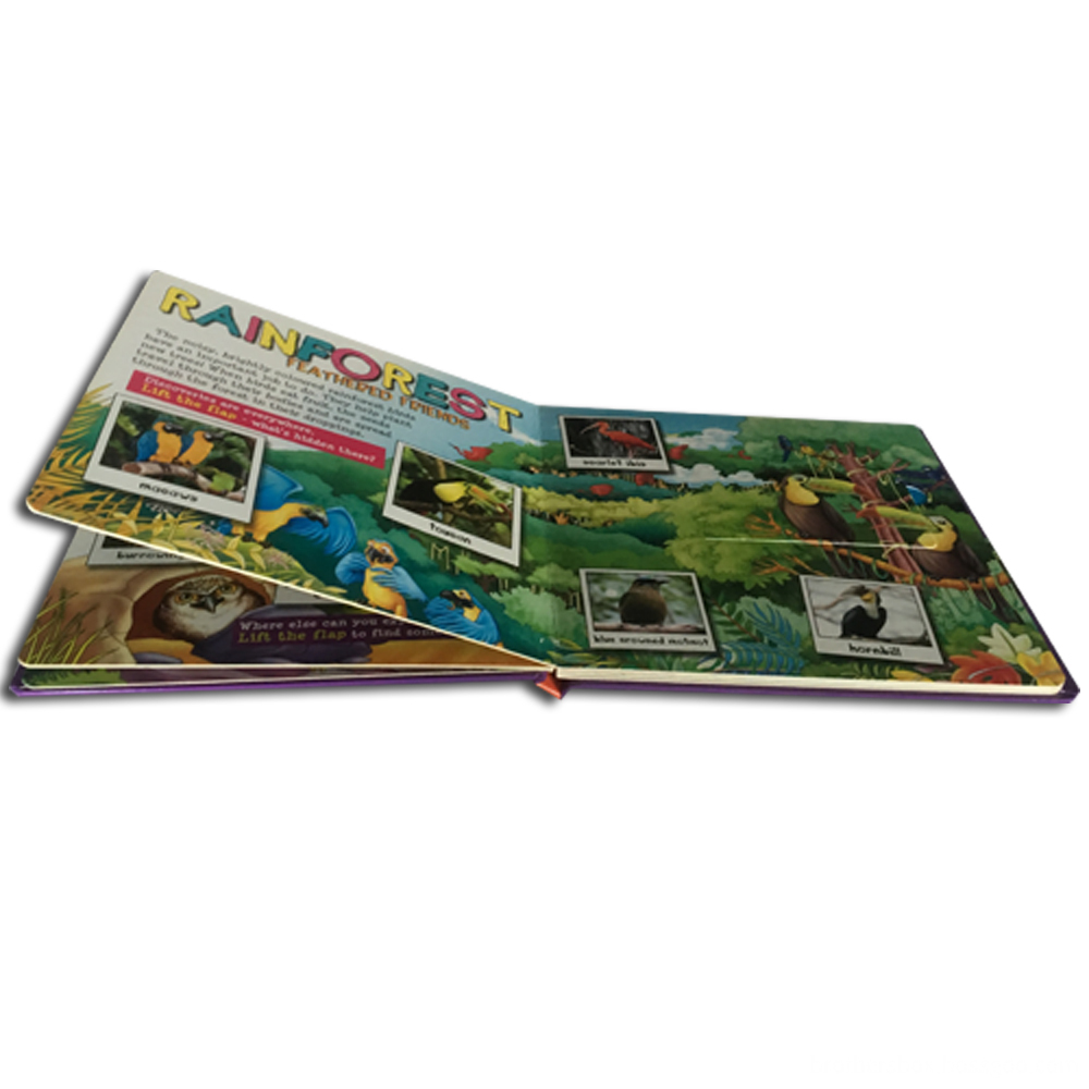 Flap English Animal Hardcover Board Book