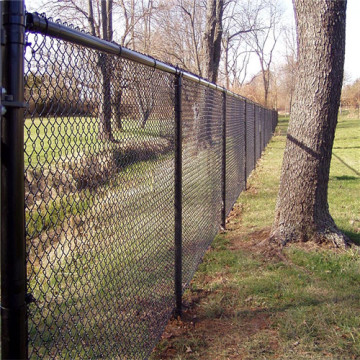 Canada High Quality Galvanized PVC Coated Chain Link Fence