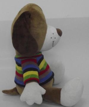 7 colour lovely brown dog