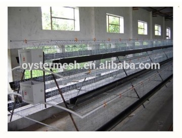 layer Chicken Cage