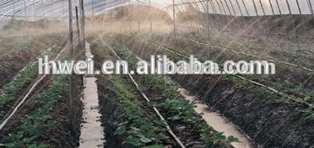 spinach micro spray hose