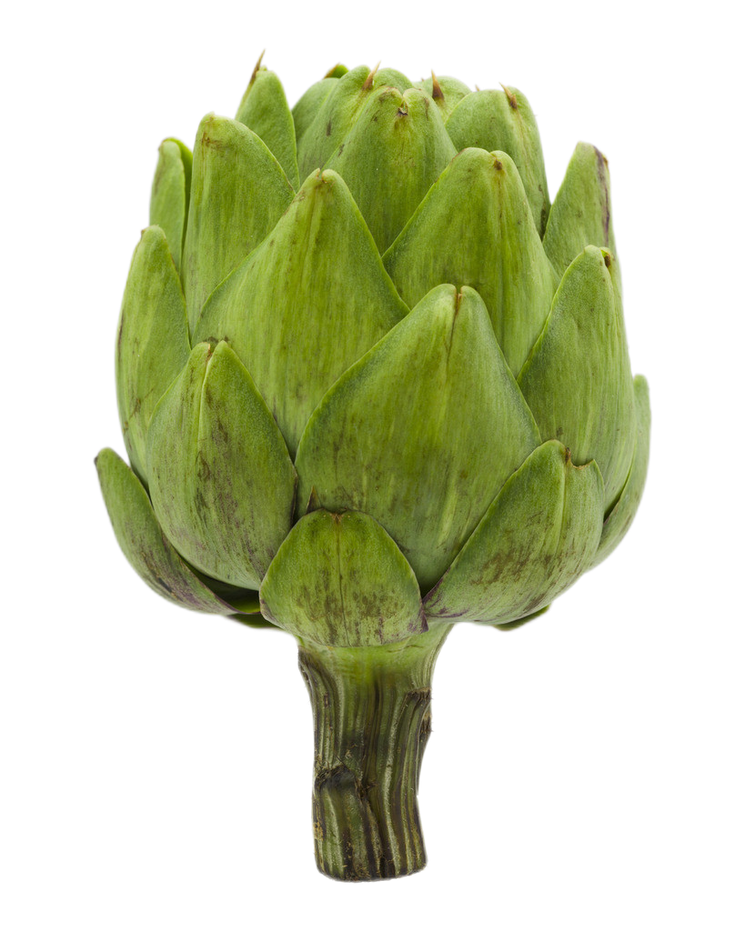 Artichoke